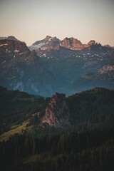Vertical shot of a beautiful mountain ranges with silhouettes of pine trees in foreground at sunset