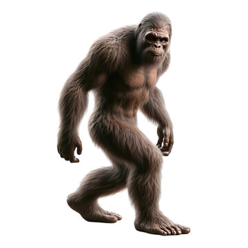 bigfoot isolated on white