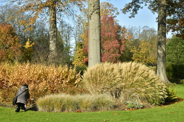 Dame prenant des photos des plantes à feuillage dorée à l'arboretum de Wespelaar près de...