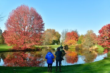Un couple en admiration devant une beauté bucolique au bord de l'étang de l'arboretum de Wespelaar près de Louvain  - obrazy, fototapety, plakaty