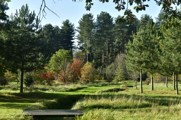 La végétation en automne vers le bois du domaine à l'arboretum de Wespelaar 