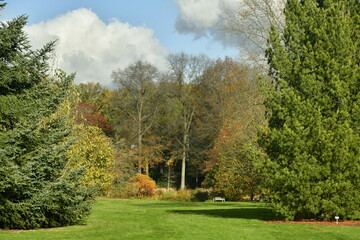 Feuillus et conifères sous un ciel d'automne à l'arboretum de Wespelaar près de Louvain 