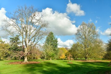 Les multiples variétés des arbres en automne à l'arboretum de Wespelaar à Haacht 