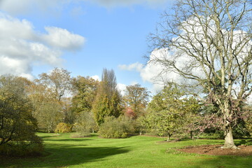 Les multiples variétés des arbres en automne à l'arboretum de Wespelaar à Haacht 