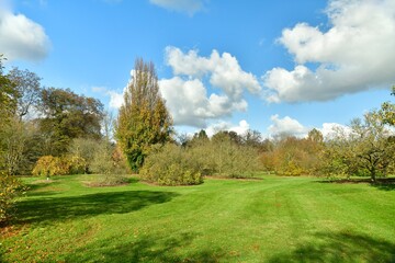 Les multiples variétés des arbres en automne à l'arboretum de Wespelaar à Haacht 