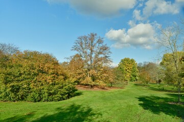 Les multiples variétés des arbres en automne à l'arboretum de Wespelaar à Haacht 