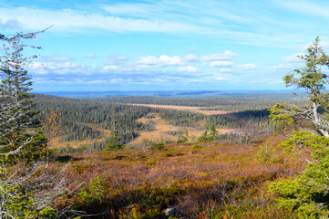 Pictures from Finlands nature
