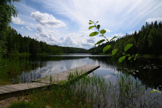Pictures from Finlands nature

