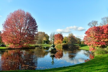Les arbres à feuillage pourpre le long de la pièce d'eau à l'arboretum de Wespelaar à Haacht 