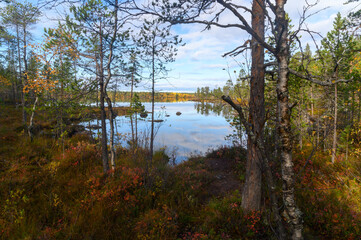 Pictures from Finlands nature
