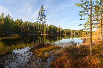 Pictures from Finlands nature
