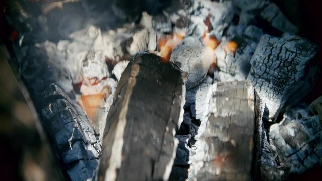bonfire flames on brazier . barbecue grill	 