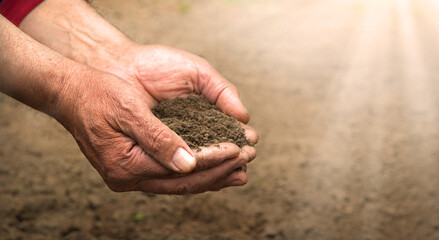 Man's hands holding a handful of earth