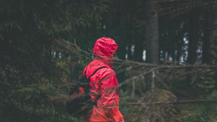 Man in a red jacket in the forest