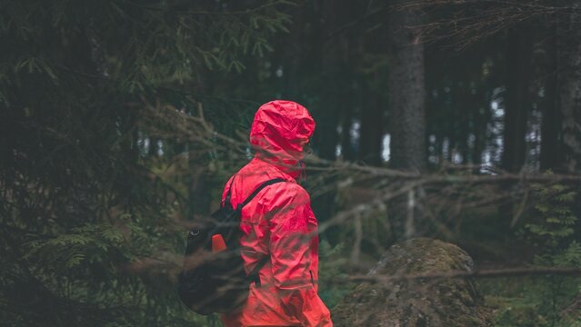 Man in a red jacket in the forest