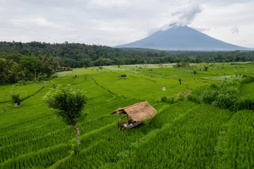 Wandaufkleber Rice fields on the background of Mount Agung on cloudy day. Surroundings of Temple of Penataran Agung Lempuyang, Bali, Indonesia. © Kirill