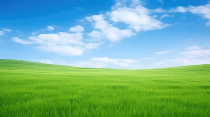 Fotobehang Lush green grass under bright blue sky with clouds  © Fred