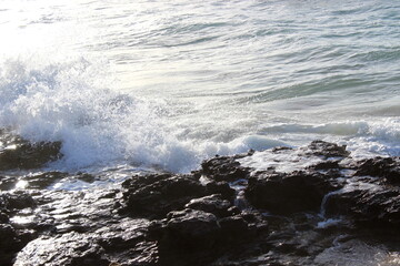Welle, Felsen, Meer