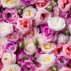 eustoma as a background, white, lilac and pink flowers. floral backdrop. bouquet, top view.