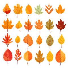 a collection of autumn leaves on a white background. fallen yellow, orange, withered leaf.