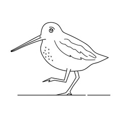 Hand drawn snipe bird vector design flat isolated illustration