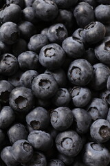 blueberries on a table
