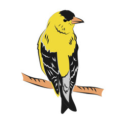 goldfinch sitting on a branch