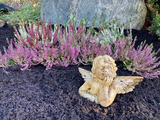 Engel neben Heidekraut auf einem Grab im Herbst auf dem Friedhof 