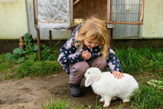 Small cute girl petting white rabbit outdoors