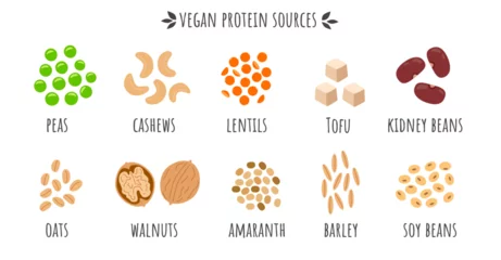 Fotobehang Vegan protein sources, peas, cashew, lentil, tofu, kidney beans, oats, walnut, barley, soy beans. Cartoon vegan healthy food. supplements for vegetarians. Flat vector illustration.  © Diana