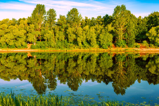 Daytime landscape of the Kotorosl River with trees reflected in it