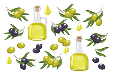 Set of black and green olives. Olive oil, drops of oil and twigs with olives and leaves. Food illustration, vector - obrazy, fototapety, plakaty