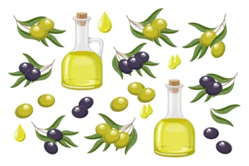Foto op Plexiglas Set of black and green olives. Olive oil, drops of oil and twigs with olives and leaves. Food illustration, vector © Tatiana