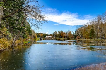 Tranquil lake surrounded by trees with colorful leaves under the blue sky