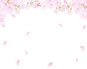 美しい薄いピンク色の桜の花と花びら春の水彩白バックフレーム背景素材イラスト