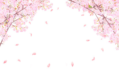 美しい薄いピンク色の桜の花とウグイスー花びら春の水彩白バックフレーム背景素材イラスト - obrazy, fototapety, plakaty