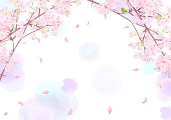 かわいい薄いピンク色の桜の花と花びら春の水彩白バックフレーム背景素材イラスト - obrazy, fototapety, plakaty