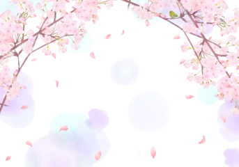 Foto op Plexiglas かわいい薄いピンク色の桜の花と花びら春の水彩白バックフレーム背景素材イラスト © Merci