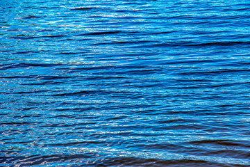 Water ripple texture background. Wavy water surface during sunset, golden light reflecting in the...