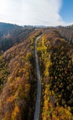 Droga w Zagórzu Śląskim na Dolny Slasku Jesien - obrazy, fototapety, plakaty