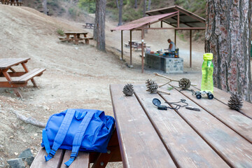 Picnic site in mountain pine forest, Troodos, Cyprus 