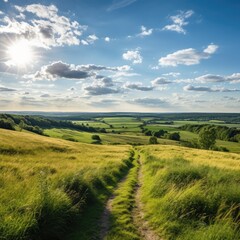 Fields in the sun