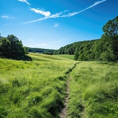 Fields in the sun