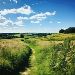 Obraz premium Walk through the fields in the sun