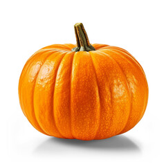 Orange pumpkin with transparent background and shadow