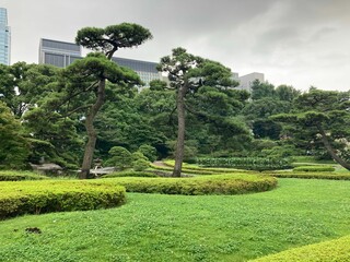 Beautiful shot of a bright green lush park in Japan