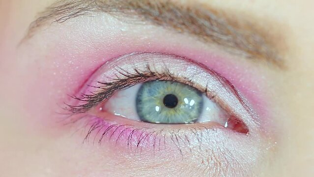 close up of eye makeup rose