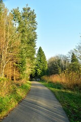 Fototapeta na wymiar Route étroite pour la promenade à l'arboretum de Groenendael au sud-est de Bruxelles 