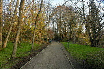 Fototapeta na wymiar Route pour la promenade à l'arboretum de Groenendael au sud-est de Bruxelles 