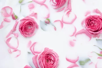 Poster Pink rose flowers in milk bath. Beautiful flower background. Selective focus © ClareM